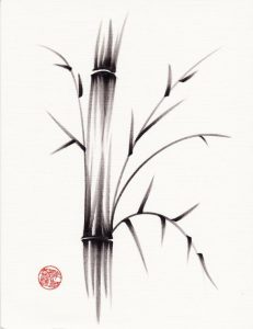caña-bambú