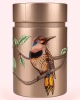Lata de pájaros exóticos