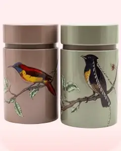 Lata de pájaros exóticos