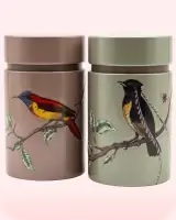 Lata de pájaros exóticos